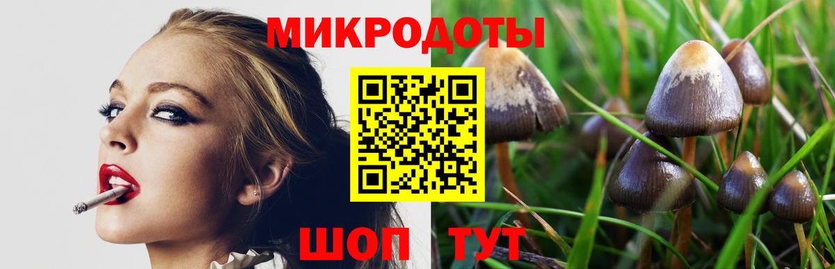 Россошь  Псилоцибиновые грибы Magic Shrooms  наркотики  Вход с VPN 